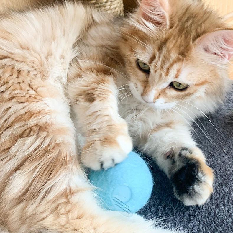 SmartCatToys™ - mesbabystore